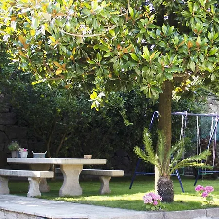 Luxury Singular Rosa * Padrón