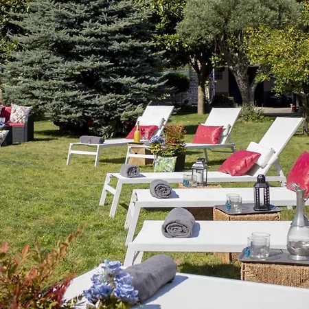 Luxury Singular Rosa