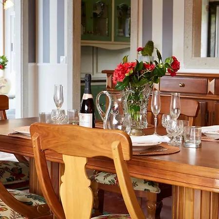 Luxury Singular Rosa *