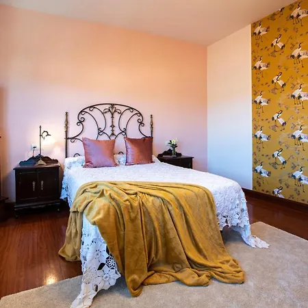 Luxury Singular Rosa Apartmán Padrón