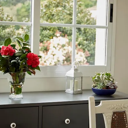 Apartamento Luxury Singular Rosa *